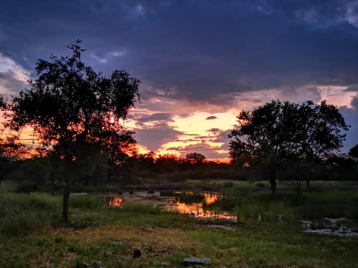 הוילה נמוטוני Mokuti Etosha מראה חיצוני תמונה