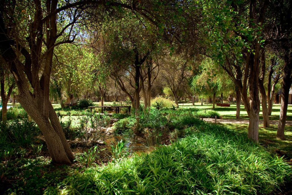 הוילה נמוטוני Mokuti Etosha מראה חיצוני תמונה
